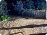 niederlindach_20210817 (10)