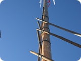 20240430_maibaumstellen182